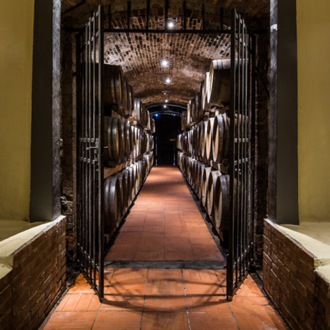 Screenshot 2024-09-03 alle 09.31.15